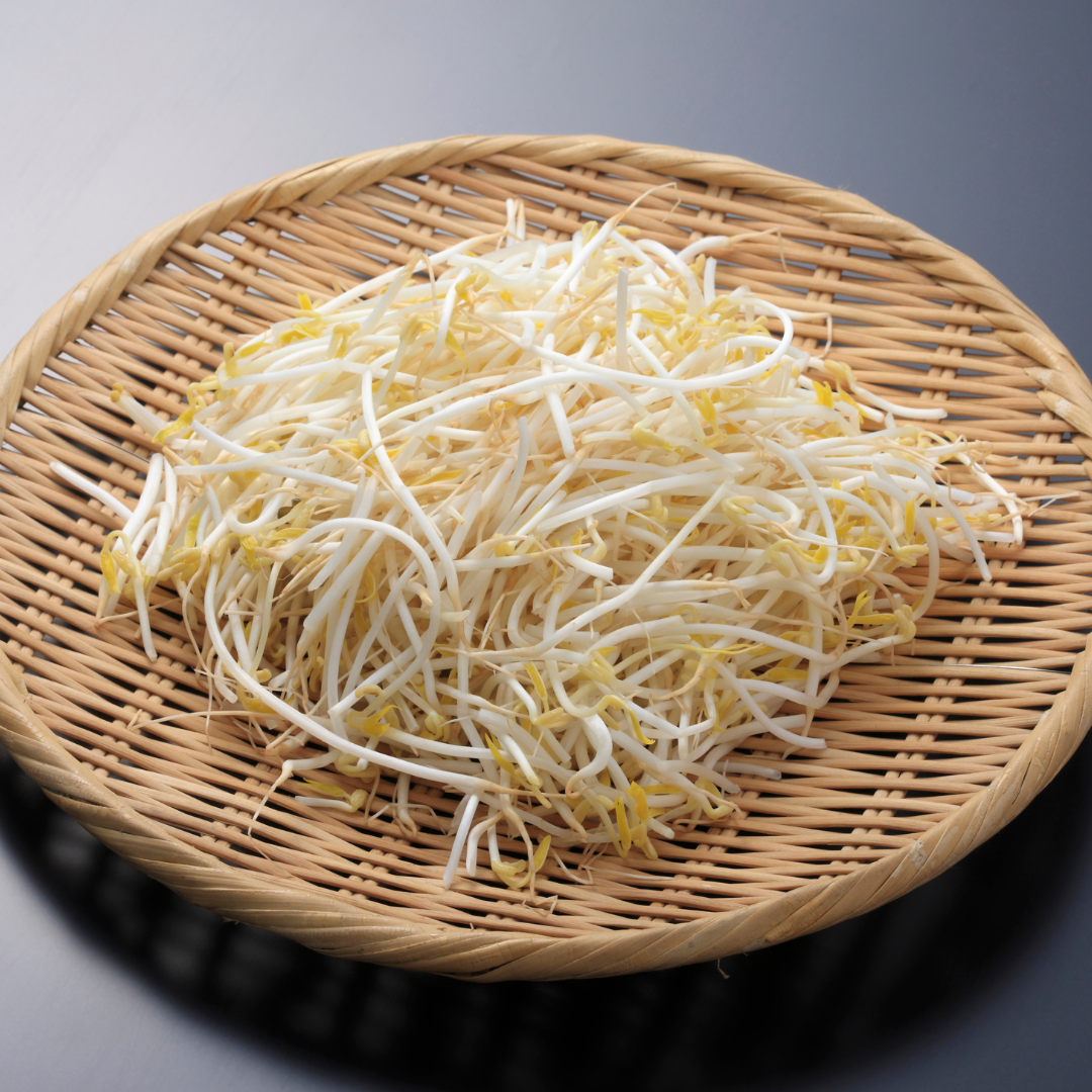 Fresh Bean Sprouts