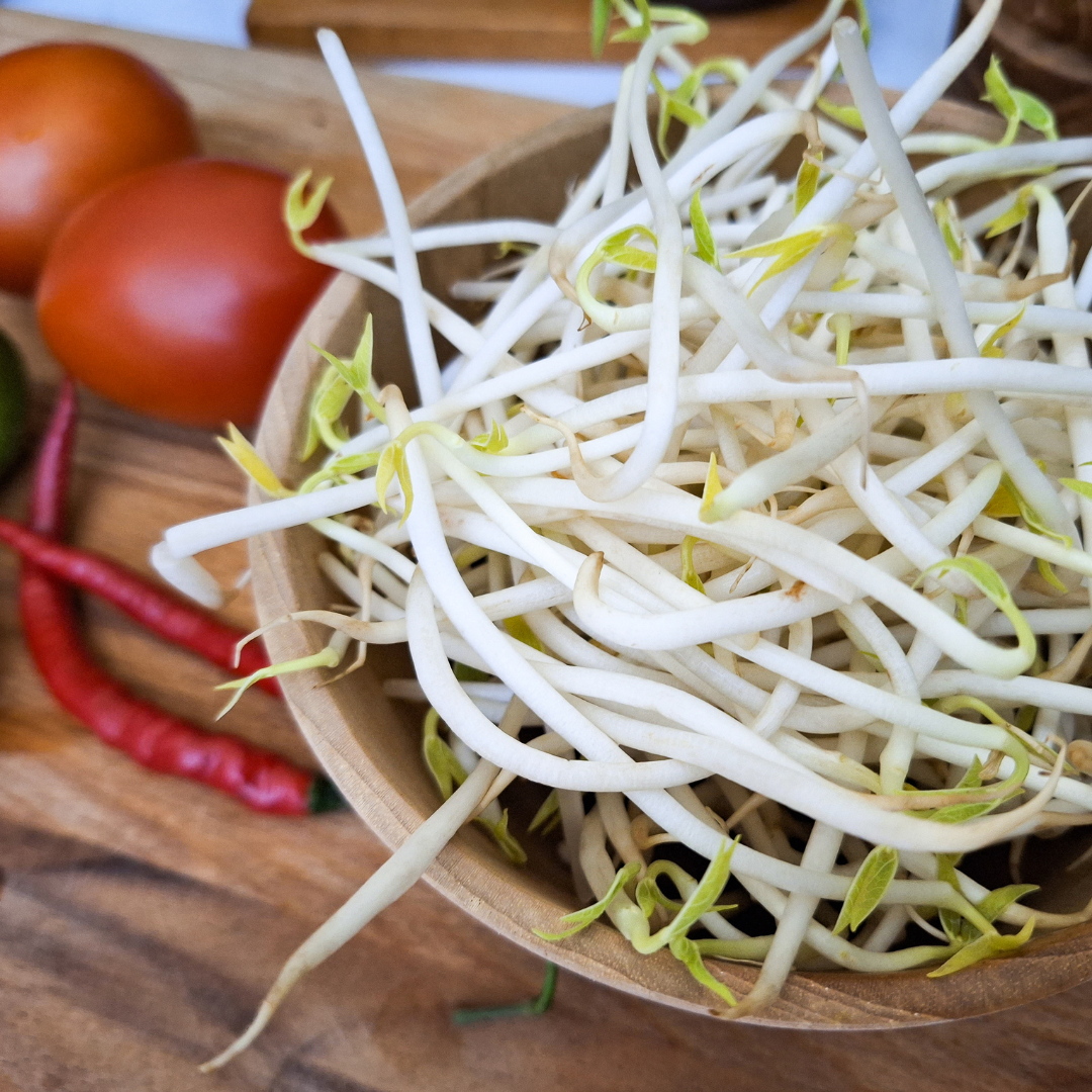 Fresh Bean Sprouts