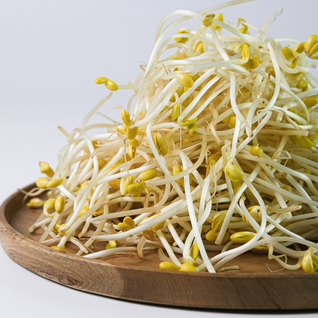 Fresh Bean Sprouts