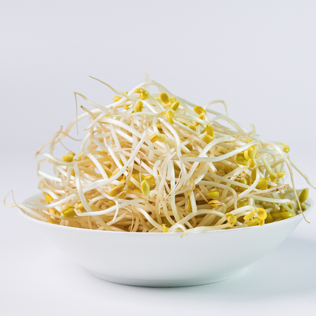 Fresh Bean Sprouts